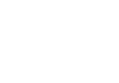 OVERFLY 